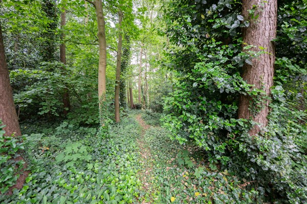 Medium property photo - Haspelstraat 2, 4741 SH Hoeven